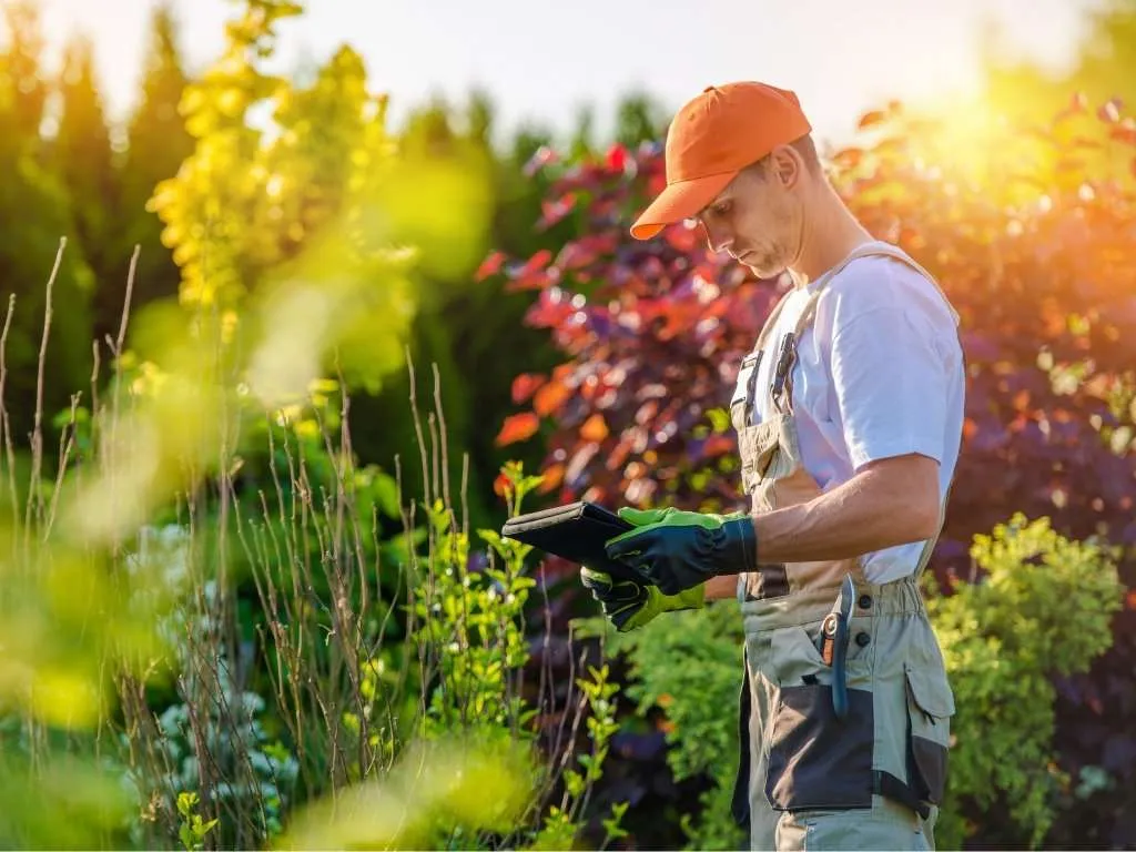 Commercial Lawn Maintenance 1