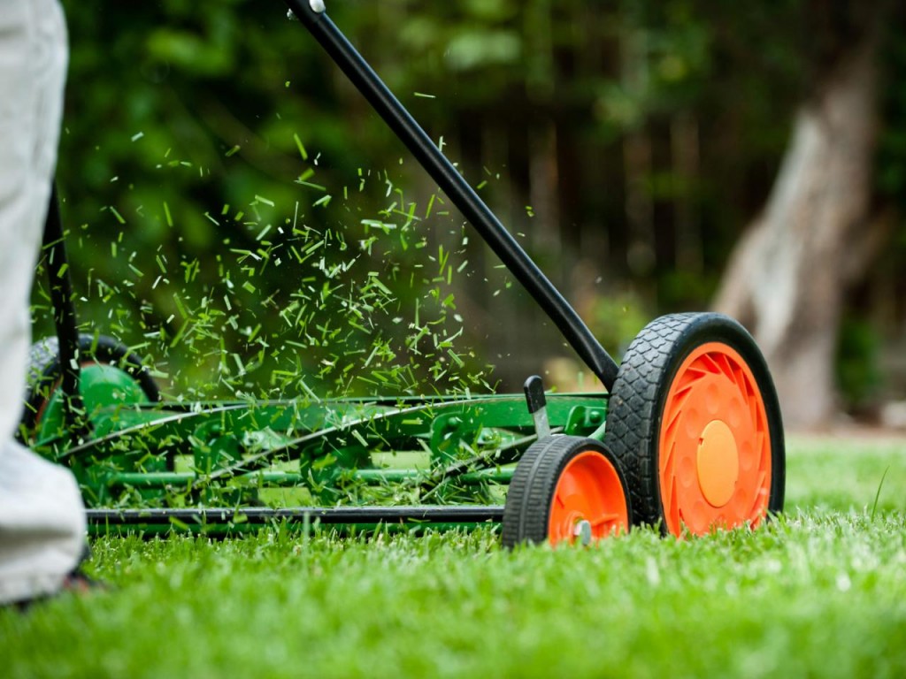 Commercial Lawn Maintenance 2