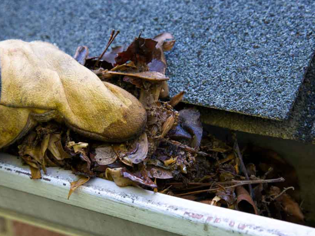 Gutter Guards Leaf Protectors 6