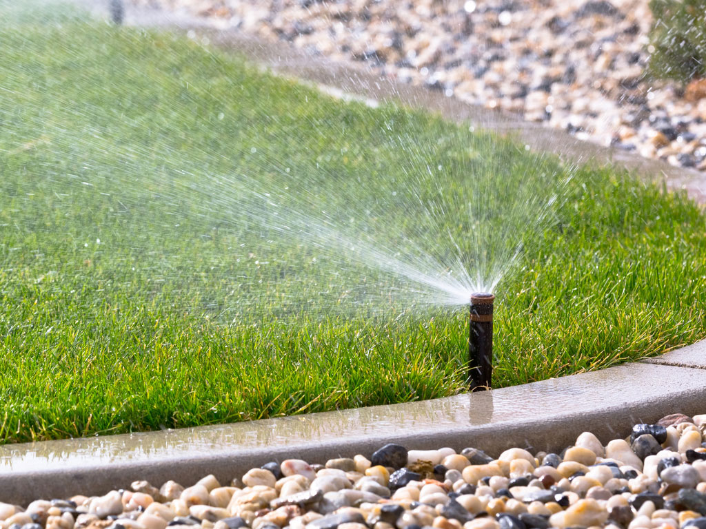 Sprinkles irrigation 2